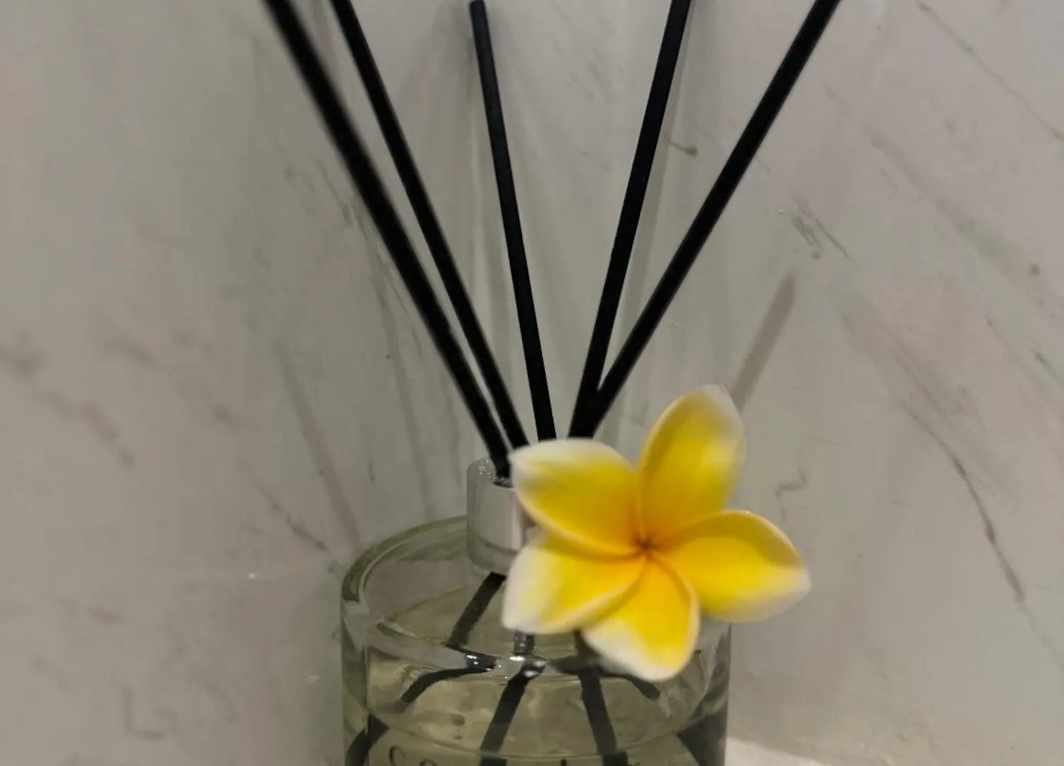 Bali Bird Villa Seminyak